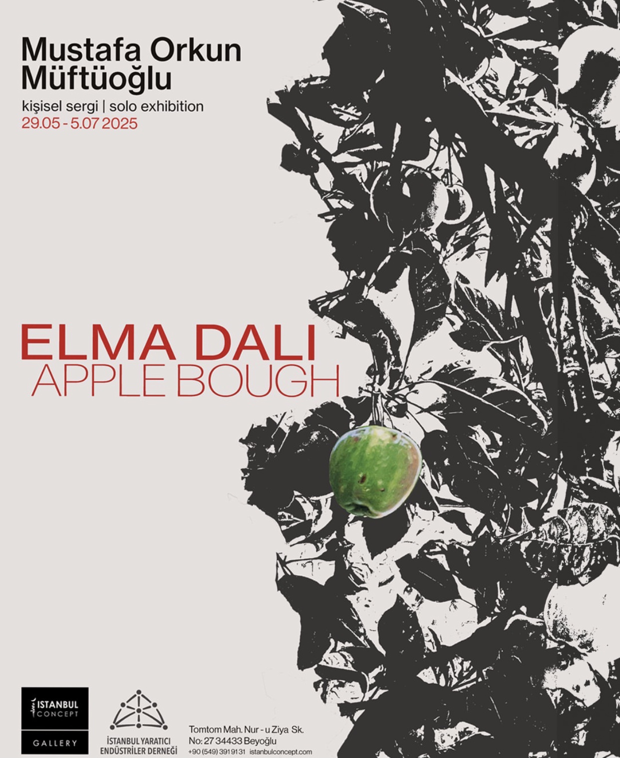  / Elma Dalı / Mustafa Orkun Müftüoğlu