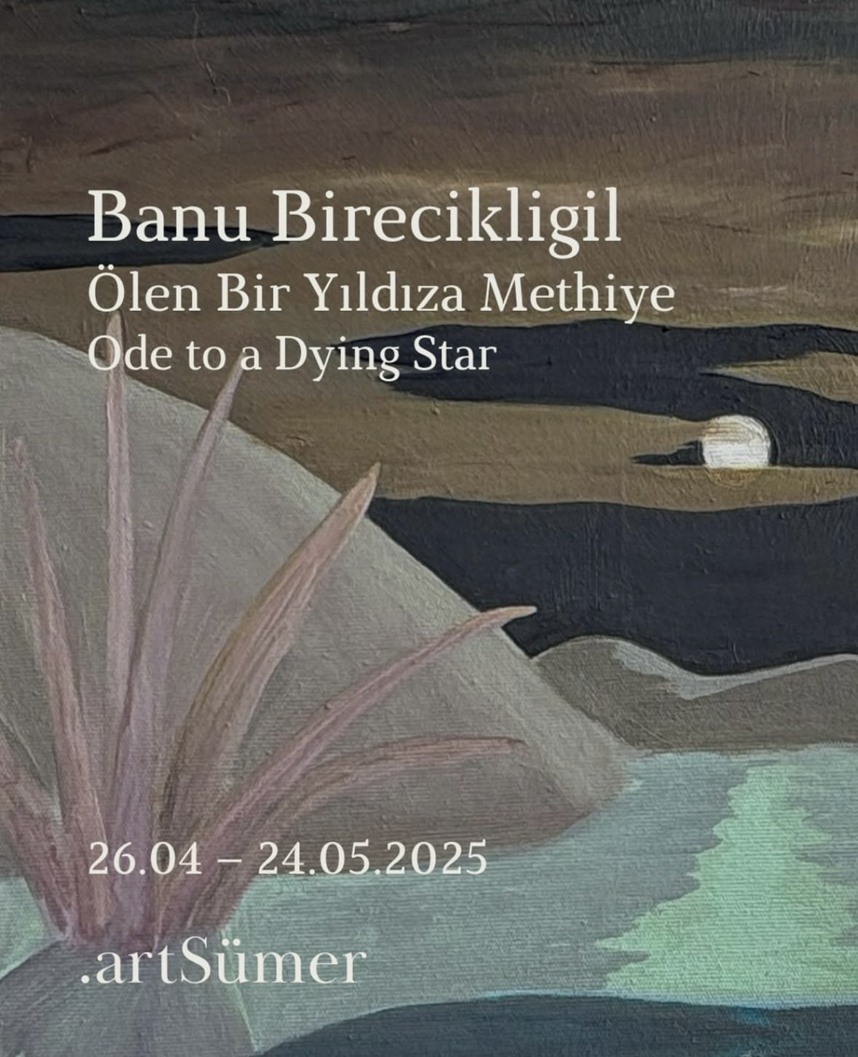  / Ölen Bir Yıldıza Methiye / Banu Birecikligil