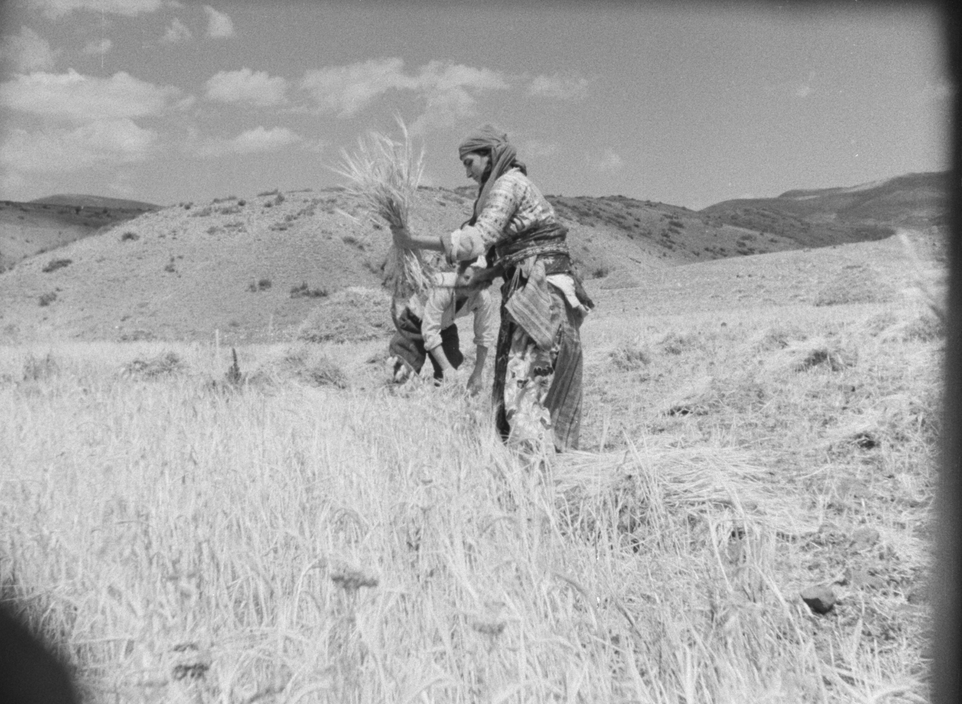 Karanlık Dünya (1953) filminden bir kare, Atadeniz Film / Karanlık Dünya / Mike Bode&Caner Yalçın